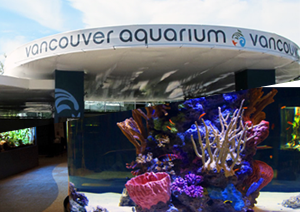 Vancouver Aquarium